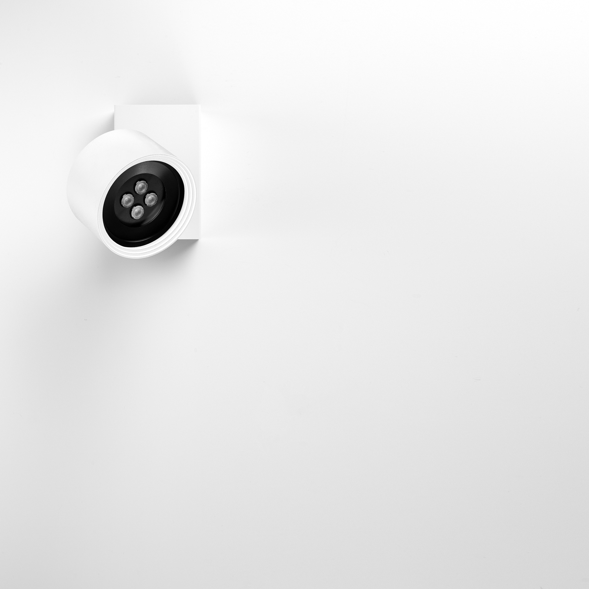 Spot